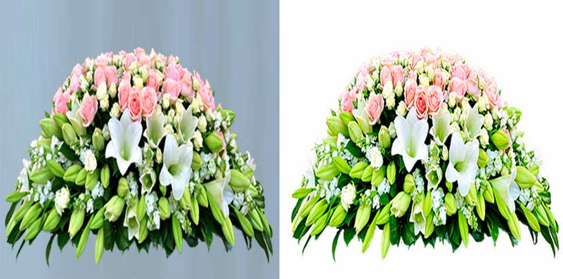 background removing services, background removal service, background removal, best photo background removal service, clipping path, clipping path service, remove background online, clipping path service provider, clipping path photoshop, photoshop services, clipping path company, image background removal services, clip photo, photo background remover, image clipping service, online photo background editor, photo clipping service, best clipping path service, photo cutout, remove background from image online, remove background from image, photo retouching services, photo editor remove background, photo background removal service, clip image, online photo editor remove background, photo editor, clipping path service company, photo retouch, image clipping path services, clipping service, photo editing services, image clipping path, photoshop clipping path service, image editing services, photo background editor, photo clipping path, photoshop editing services, photoshop clipping path service company, clipping path USA, clipping path provider, photo background, image masking service, change background of photo online, online photo background remover, image cutout service, image editing company, background changer of photo, background remover, cut out pictures, image editor, remove picture background, clipping path image, photo resize, image resize service, photo crop service, photo cropping, modern logo design, logo design service, design service, banner design service, creative banner design service, creative banner, banner design, modern banner design